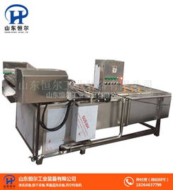 甘蓝洗菜机 山东恒尔 甘蓝洗菜机生产厂家