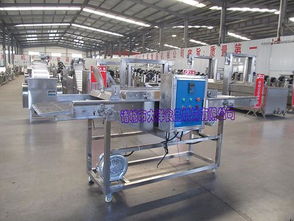 【大洋生产鸡排挂浆机品牌/图片/价格_上浆机详细参数】- 