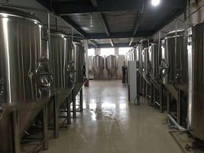 精酿啤酒设备全解析 从酒厂到酒吧，打造完美啤酒体验